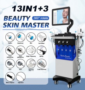 13in1+3 Beauty 360° Rotate Skin Master